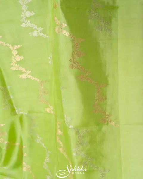 Fresh green raw mango saree with blouse